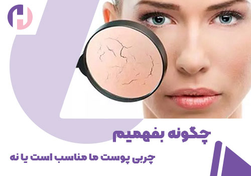 تصویر چگونه بفهمیم چربی پوست ما مناسب است یا نه