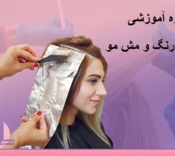 تصویر دوره آموزش رنگ و مش مو